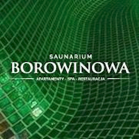 Saunarium Borowinowa